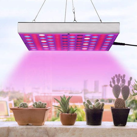 LED augu audzēšanai