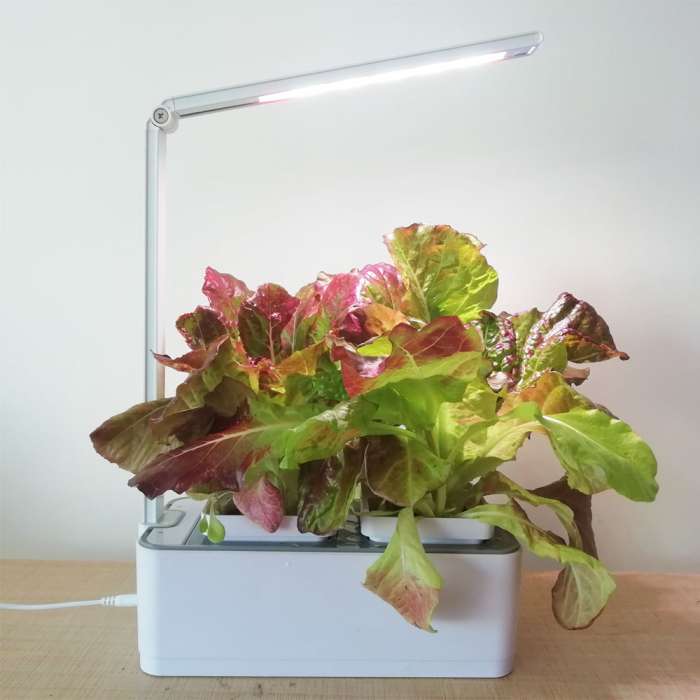 6.5W gudrais mājas dārzs augu audzēšanai ar LED lampu, balts, 26*11.5*38.5 cm, 7 sarkanas un 10 baltas diodes