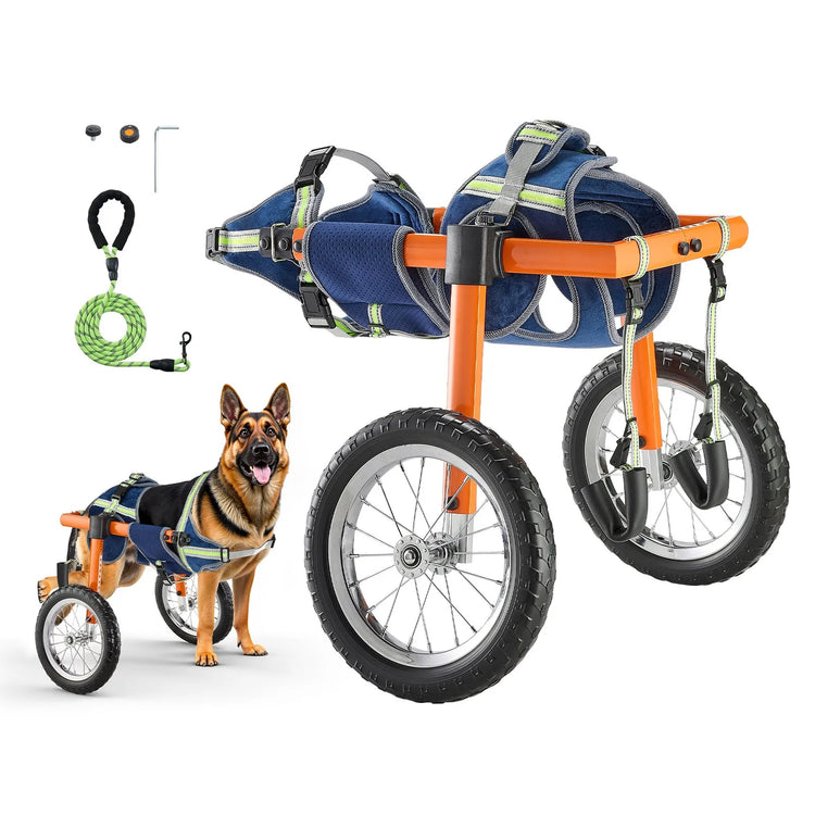 Treniņi, rehabilitācija un mobilitāte