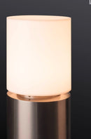 MAX 20W E27 ROX ACRYL 60 Pinnapealne LED-valgusti, teras, IP65, IK02