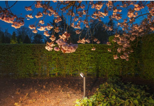 14.5W(1000Lm) ESKINA Pole surface-mounted LED luminaire, anthracite, IP65, IK02, neutral white light 4000K