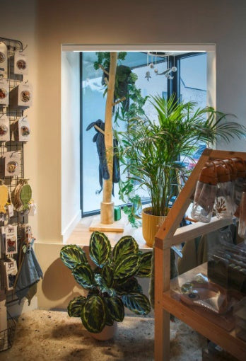 14W(1140Lm) 48V DALI 2 IN-LINE 44 LED lineārs sliežu gaismeklis, IP20, IK02, balts,dimmējams, silti balta gaisma 2700K