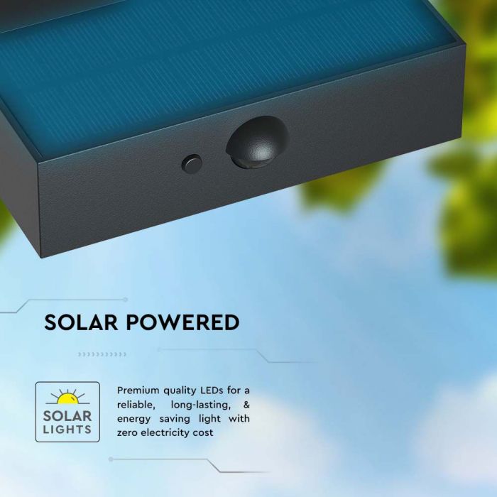 3W(350Lm) 21 LED solar front luminaire with sensor, 3.7V, Lithium 1200mAh Battery, IP65, black, 4000K+3000K