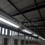 T8 20W(2100Lm) LED CREE Spuldze, 150cm, IP20, G13, V-TAC, auksti balta gaisma 6500K