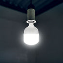 E27 20W(2060Lm) LED Bulb, V-TAC, T80, IP20, cool white 6500K