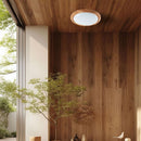 30W/60W/30W (6000Lmm) LED dome luminaire with remote control, V-TAC, I20, 3IN1