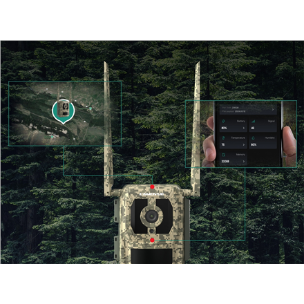 _Dāvanā saules panelis_| 4K 4G  medību kamera ar tiešraides straumēšanu | Talon sērija S130 | Medību kamera | 8 MP | 4 mm/F1.6 | IP67 | H.265 | MicroSD karte, līdz 256 GB