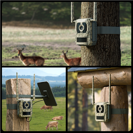 4K 4G  medību kamera ar tiešraides straumēšanu Camovue | Talon sērija S130 | Medību kamera | 8 MP | 4 mm/F1.6 | IP67 | H.265 | MicroSD karte, līdz 256 GB