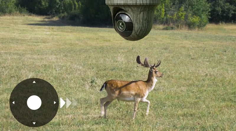 Reolink G450 4K - bezvadu 4G mednieku videokamera + Solārais panelis  Mednieku 4G videokamera manuāli grozāma 360° grādu diapazonā. Ideāli piemērota zemniekiem, medniekiem, tūristiem.  Kamuflāžas korpuss komplektā 32gb atmiņu karte.