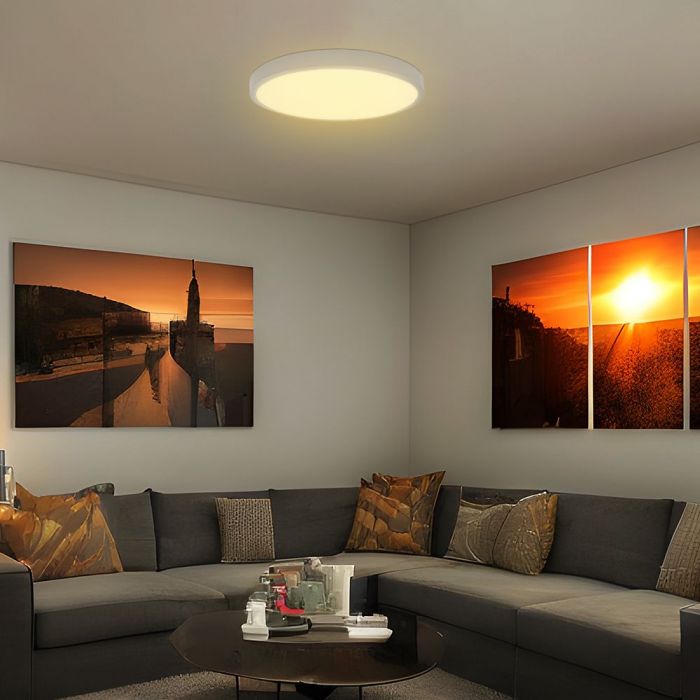 24W(2500Lm) LED kupolveida gaismeklis ar mikroviļņu sensoru, V-TAC, IP44, apaļš, balts, auksti balta gaisma 6500K