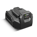 EGO Power+ CH2100E 210 W lādētājs