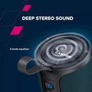 CANYON skaļrunis OnMove 15W EQ TWS AUX tumši zils