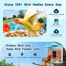 VEVOR viedā putnu barotava ar kameru, 2K HD izšķirtspēja, AI atpazīšana vairāk nekā 10 000 putnu sugām, saules enerģijas darbināma putnu vērošanas kamera ar automātisku uzņemšanu un tūlītējiem paziņojumiem, bezvadu āra lietošanai, ar 3 saules paneļiem