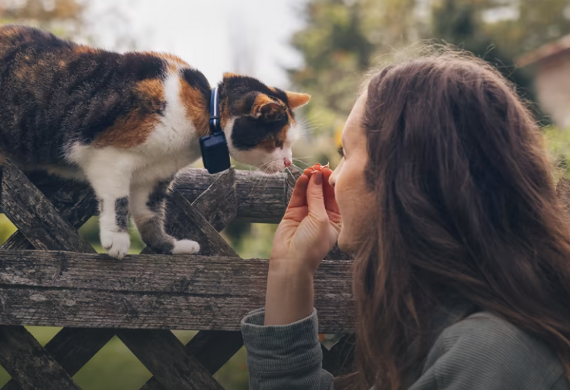 Piegāde 10 dienu laikā_Tractive CAT Mini – Cat GPS izsekotājs un veselības monitors – brūns. nepieciešama abonēšana.