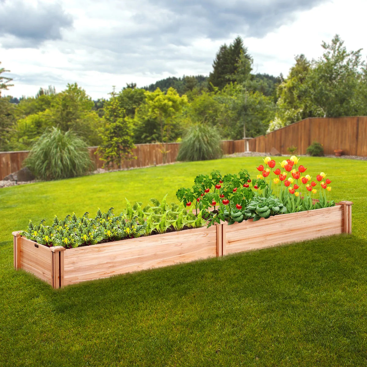 VEVOR paaugstināta dārza dobe 240,8 × 61 × 24,4 cm, koka stādīšanas kaste ar atvērtu pamatni ziedu, dārzeņu un garšaugu audzēšanai dārzā, pagalmā, terasē vai balkonā, burvuda krāsa