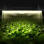 VEVOR SAMSUNG 2B1B LED grow light, 200W, adjustable brightness, high yield, for seedlings, vegetation and flowering - for indoor, greenhouse and grow tents (60,96 x 121,92 cm/ 91,44 x 91,44 cm)