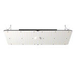 Saadaval 10 päeva pärast! VEVOR SAMSUNG 2B1B LED taimekasvatusvalgusti, 300W, reguleeritav heledus, kõrge tootlikkusega, seemikute, taimede ja õitsemise jaoks - siseruumidesse, kasvuhoonetesse ja kasvutelkidesse (91,44 x 91,44 cm/ 121,92 x 121,92 cm).
