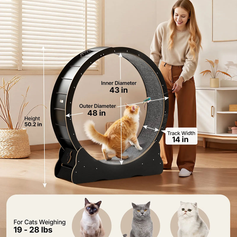VEVOR kaķu skriešanas ritenis, 120 cm koka trenažieris telpām kaķiem līdz 12,7 kg, kaķu skrejceļš ar paklājotu skriešanas virsmu un bloķēšanas mehānismu, klusa fitnesa rotaļlieta kaķēniem, melns.