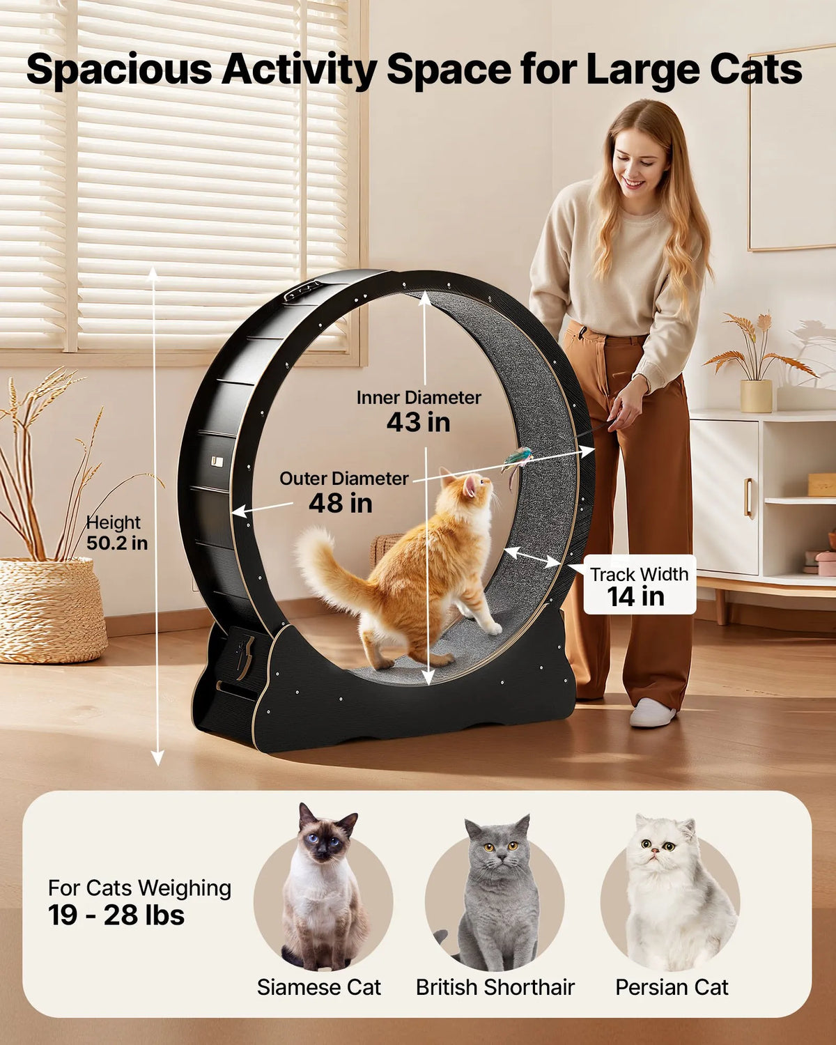 VEVOR kaķu skriešanas ritenis, 120 cm koka trenažieris telpām kaķiem līdz 12,7 kg, kaķu skrejceļš ar paklājotu skriešanas virsmu un bloķēšanas mehānismu, klusa fitnesa rotaļlieta kaķēniem, melns.