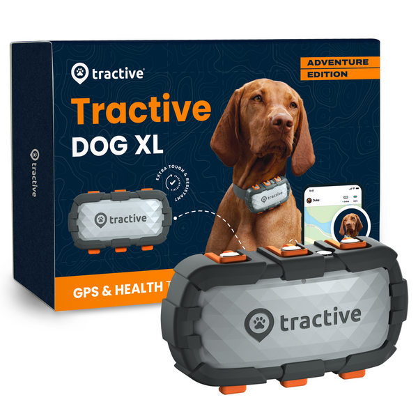 GPS trackers for pets