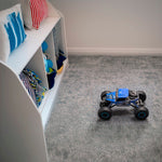 Maxlife remote control car MXRC-300