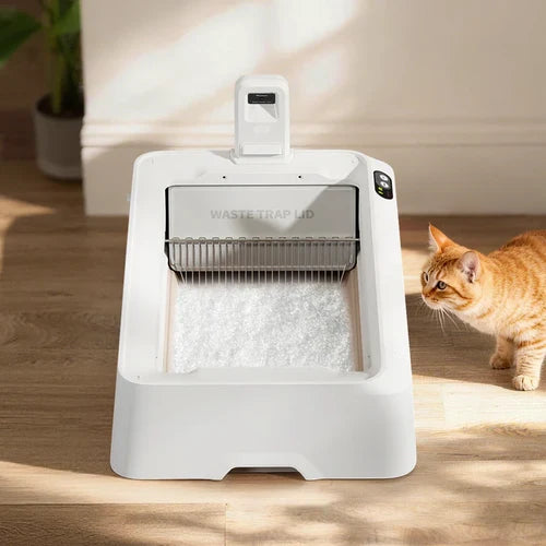 Альтернативный текст изображения