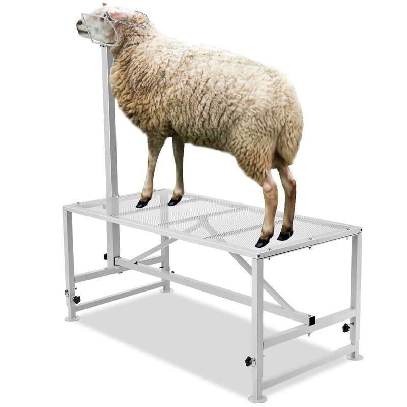 VEVOR kazu un aitu stends 120 × 58 cm, metāla stends slaukšanai un cirpšanai, regulējams augstums 53–84 cm, ar galvas fiksatoru un purna cilpu, nestspēja 226 kg, balts