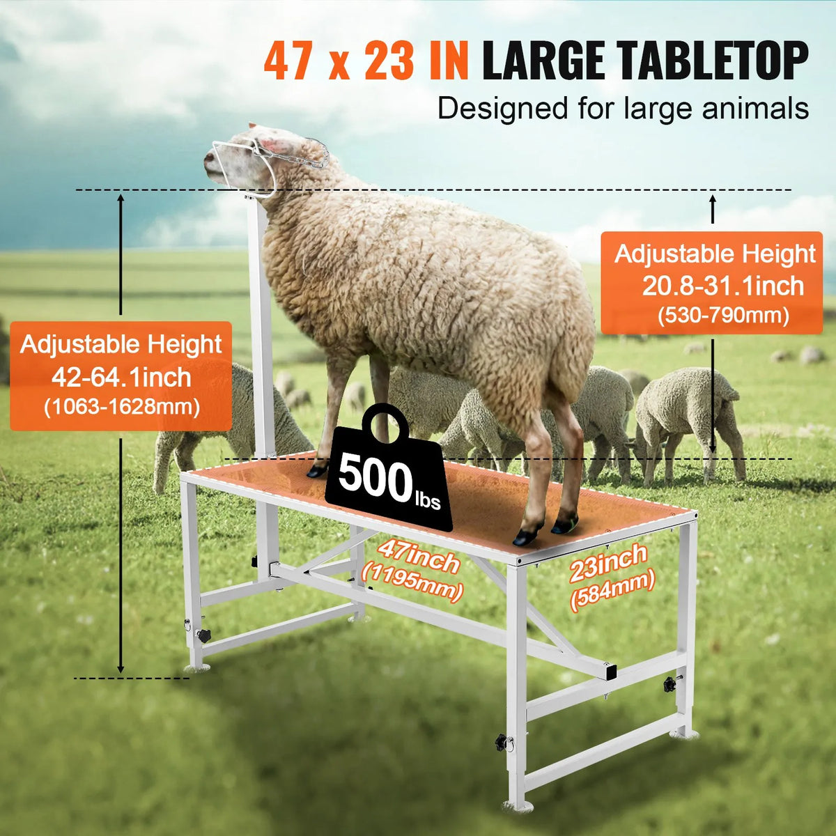 VEVOR kazu un aitu stends 120 × 58 cm, metāla stends slaukšanai un cirpšanai, regulējams augstums 53–84 cm, ar galvas fiksatoru un purna cilpu, nestspēja 226 kg, balts