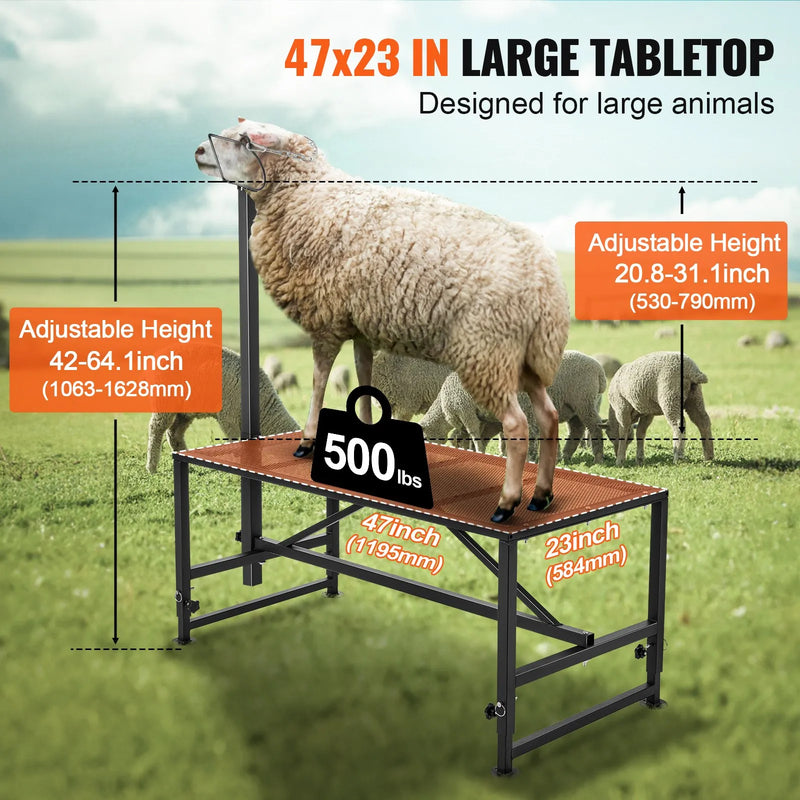 VEVOR kazu un aitu stends 120 × 58 cm, metāla stends slaukšanai un cirpšanai, augstums regulējams 53–84 cm, ar galvas fiksatoru un purna cilpu, 226 kg noslodze, melns