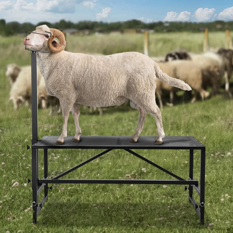 VEVOR kazu un aitu stends 120 × 58 cm, metāla stends slaukšanai un cirpšanai, augstums regulējams 53–84 cm, ar galvas fiksatoru un purna cilpu, 226 kg noslodze, melns