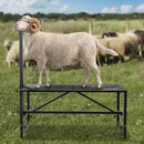 VEVOR kazu un aitu stends 120 × 58 cm, metāla stends slaukšanai un cirpšanai, augstums regulējams 53–84 cm, ar galvas fiksatoru un purna cilpu, 226 kg noslodze, melns