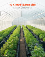 VEVOR 0,25 mm bieza plastmasas plēve 3,05 x 30,48 m, pastiprināts polietilēna pārklājums, aizsargplēve krāsošanai, tvaika barjera pagrīdes telpām, daudzfunkcionāla, melna