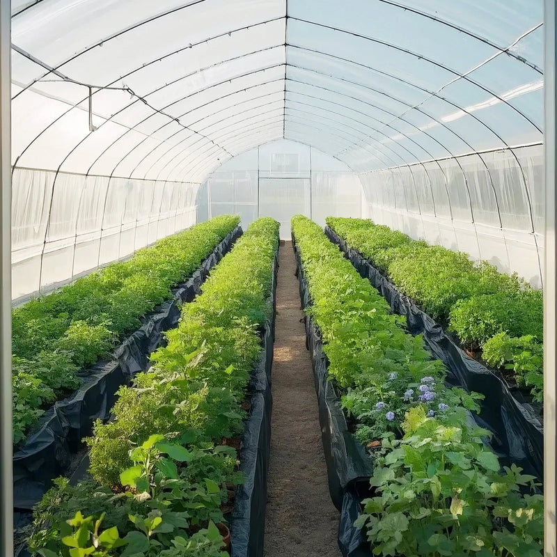 VEVOR 0,35 mm bieza plastmasas plēve 3,05 x 30,48 m, pastiprināts polietilēna pārklājums, krāsošanas aizsargplēve un pagrīdes tvaika barjera, melnbalta divpusēja, daudzfunkcionāla