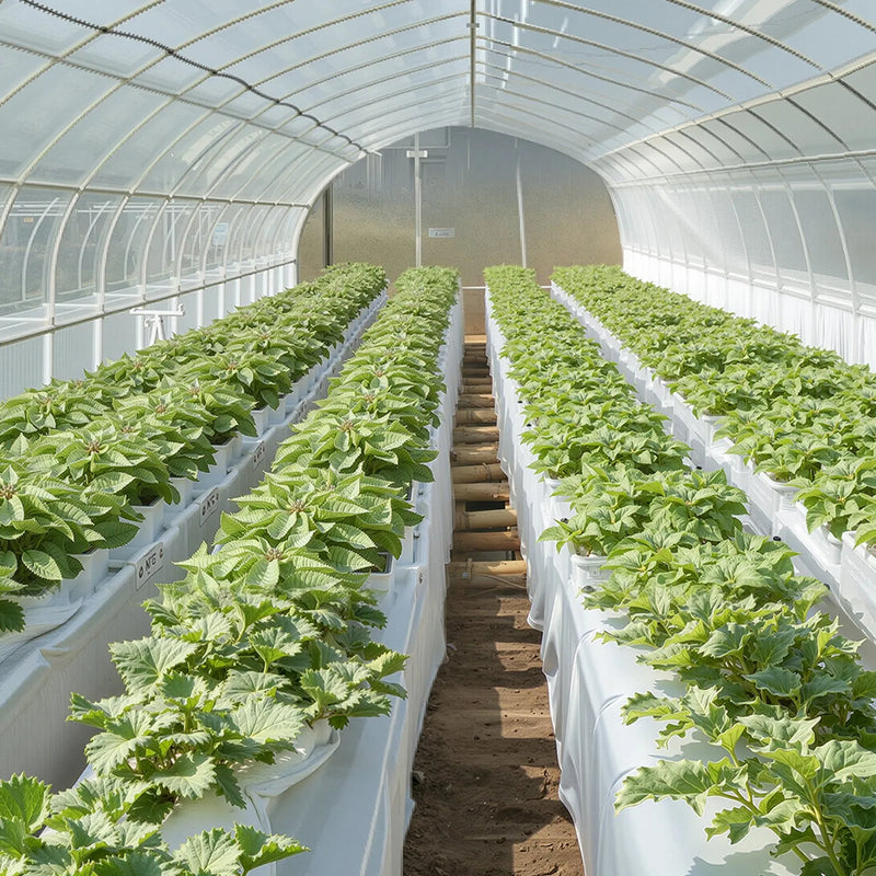 VEVOR 0,2 mm plastmasas plēve, 1,98 x 50 m pagrīdes tvaika barjera, izturīgs dārza polietilēna plēves rullis, daudzfunkcionāla būvniecības plēve, krāsošanas aizsargplēve saimniecībai, pelēka