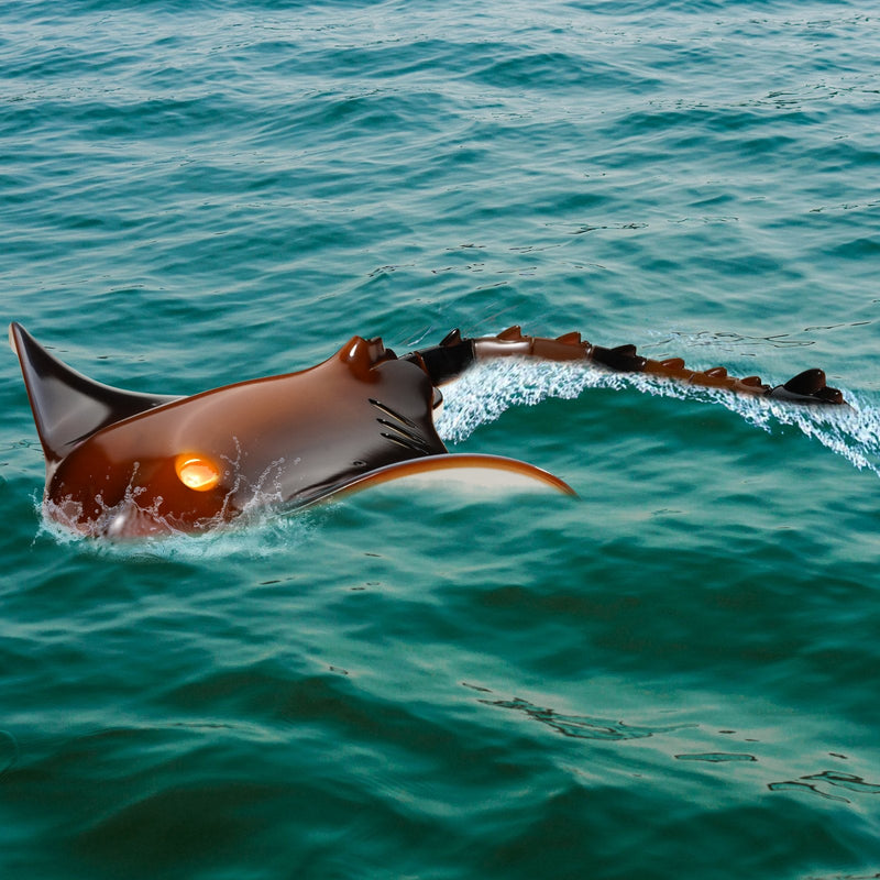 VEVOR 2.4 GHz RC Manta Ray – Tālvadības Laiva ar Augstu Ātrumu, Dāvana Bērniem un Pieaugušajiem