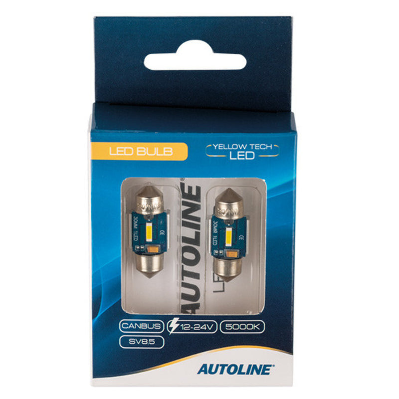 SV8.5 car bulb 5000K, 12 - 24V CANBUS 30mm, 800lm