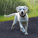 VEVOR gumijas mulča ainavu labiekārtošanai, 2 ruļļi pārstrādātas gumijas mulčas paklāja 2440 x 560 mm, pastāvīgs gumijas celiņš, dabīga izskata melna mulčas apmale augiem, dārzeņiem un ziedu dārza barjerai