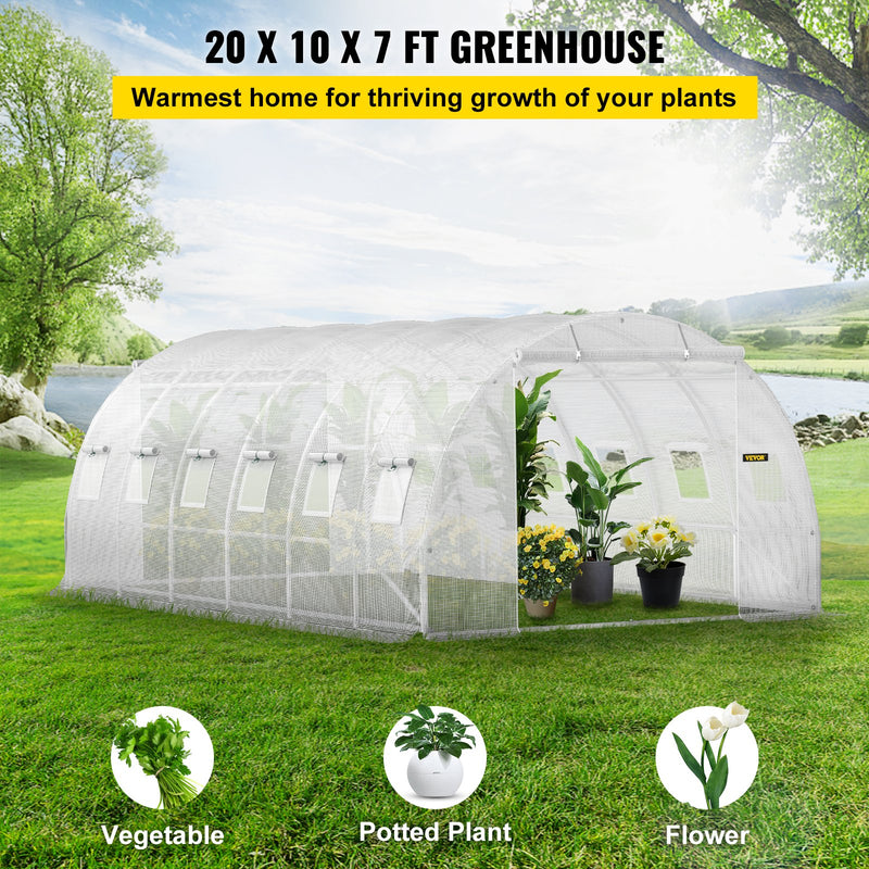 VEVOR portable plant greenhouse 6.1 x 3 x 2.1 m with galvanised steel hoops, 3 top beams, 4 diagonal poles, 2 zipped doors and 12 folding windows, white