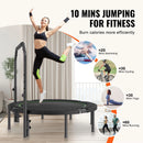 Saliekams mini fitnesa batuts 132 cm pieaugušajiem ar rokturi treniņiem