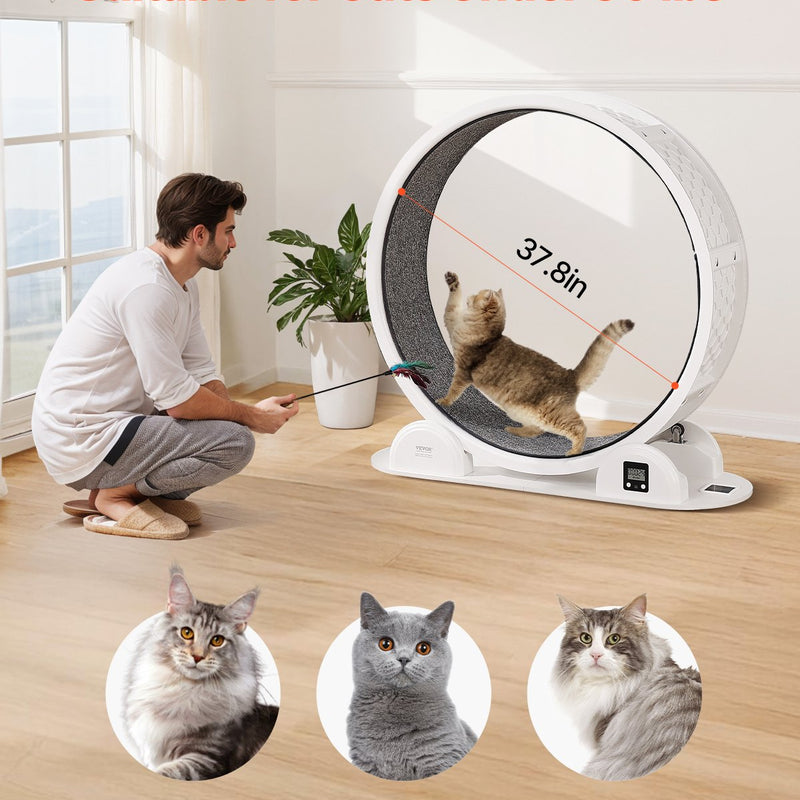 Kaķu treniņrats ar pedometru, 103,6 cm, ar bremzi un paklājētu skrejceļu, kluss skrejritenis telpām kaķiem līdz 13,6 kg, balts