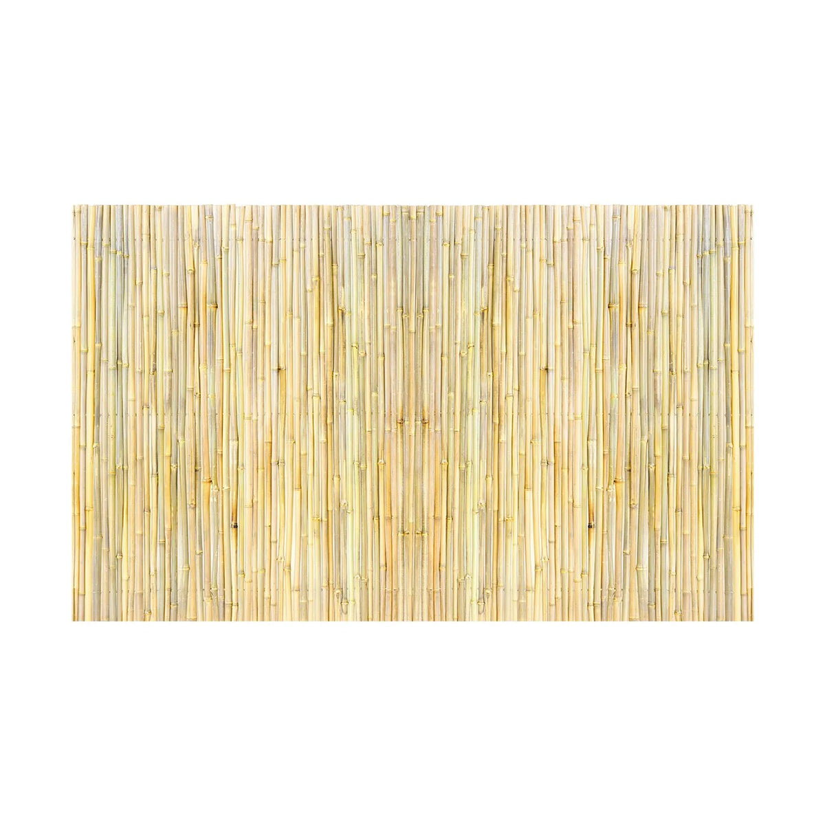 Dabīgais veltais bambusa žogs 122 × 244 × 1,9 cm