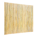 Dabīgais ruļļveida bambusa žogs, videi draudzīgs bambusa privātuma žogs 183 x 244 x 1,9 cm, dekoratīvs bambusa norobežojums dārzam, pagalmam, balkonam, terasei, pie baseina