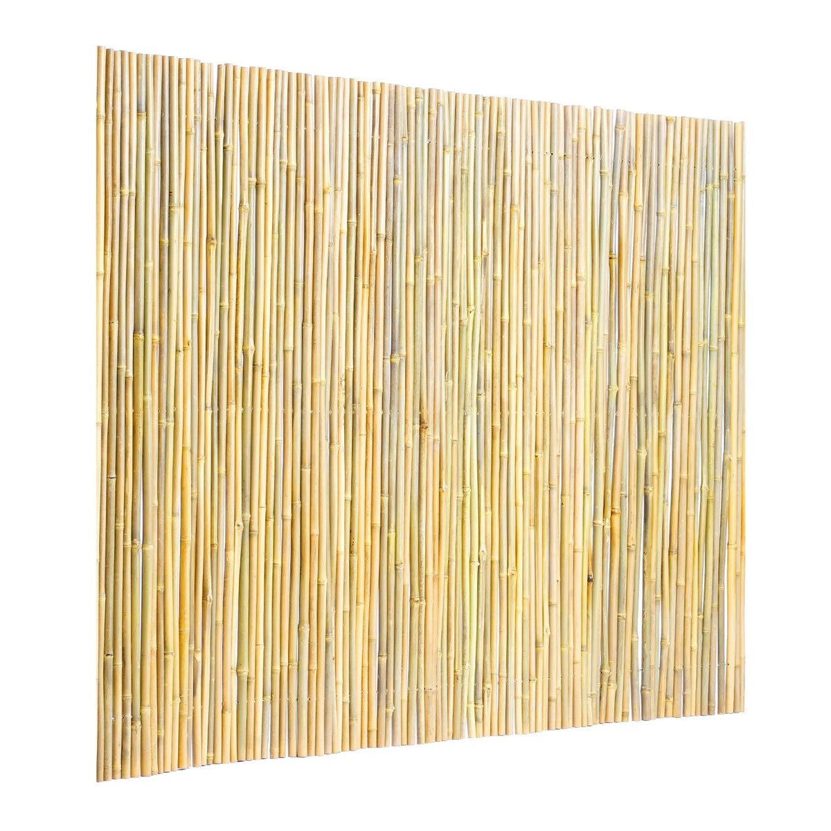 Dabīgais ruļļveida bambusa žogs, videi draudzīgs bambusa privātuma žogs 183 x 244 x 1,9 cm, dekoratīvs bambusa norobežojums dārzam, pagalmam, balkonam, terasei, pie baseina