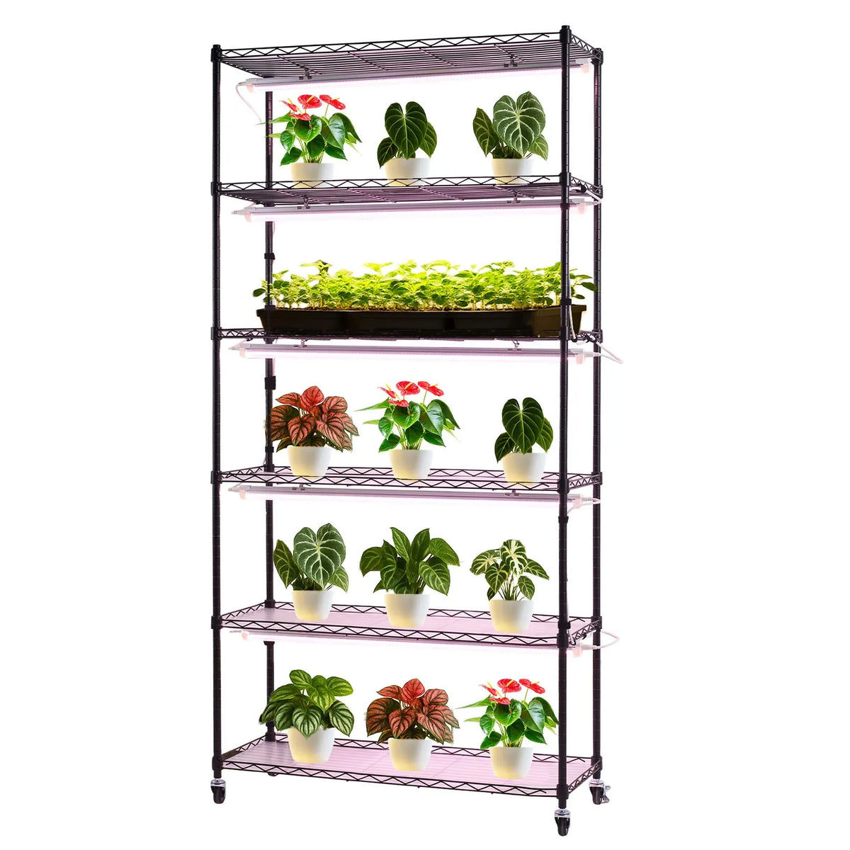 VEVOR 6 līmeņu iekštelpu augu plaukts ar riteņiem un taimeri, 180 cm metāla statīvs ar pilna spektra 150 W 3800 K audzēšanas gaismām, piemērots dīgstu audzēšanai