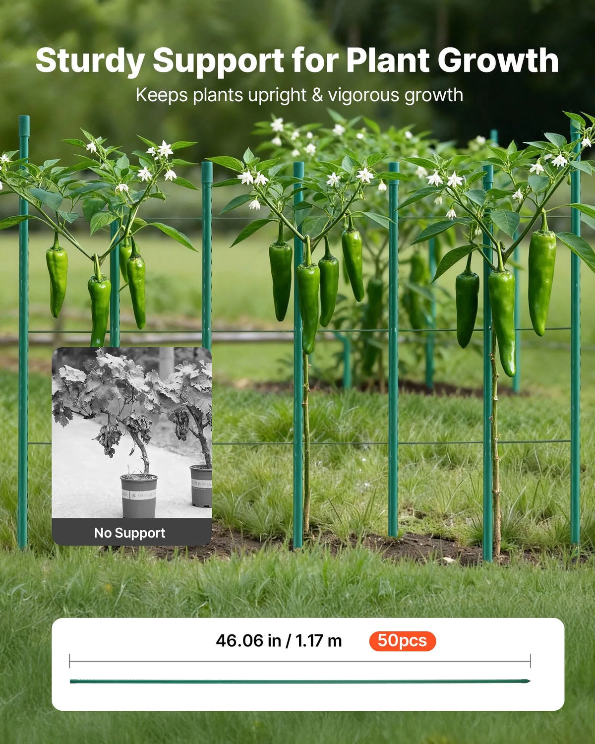 VEVOR dārza balsti augiem, 50 gab., 1170 mm, ar plastmasu pārklāti metāla tomātu balsti ar smailu galu un neslīdošiem izciļņiem kāpelējošu augu un dārzeņu atbalstam āra apstākļos