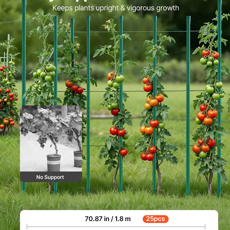 VEVOR dārza balsta mieti augiem, 25 gab., 1800 mm, plastmasas pārklājuma metāla tomātu mieti ar smailu galu un neslīdošiem izciļņiem kāpelējošu augu un dārzeņu balstīšanai ārā