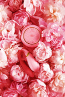 FanFan rakenduse poolt juhitav vibreeriv massaažiseade paaridele, roosa värv, vt kirjeldus, diskreetne tarne mustas pakendis