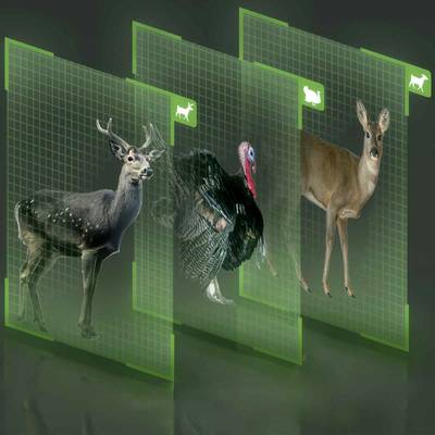 Reolink G450 4K - bezvadu 4G mednieku videokamera + Solārais panelis  Mednieku 4G videokamera manuāli grozāma 360° grādu diapazonā. Ideāli piemērota zemniekiem, medniekiem, tūristiem.  Kamuflāžas korpuss komplektā 32gb atmiņu karte.