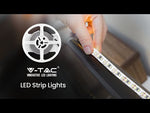 Cena par 5m_5W/m(420Lm/m) LED Lente, 12V, IP65 ūdensdroša, auksti balta gaisma 6500K