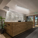 50W(8000Lm) pikendus lineaarse valgusti 1362 jaoks, 5 aastat garantiid, PRO, IP20, ilma pistikuta (kaabliühendus), neutraalne valge 4000K